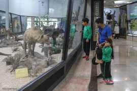 همایش پیاده‌روی خانوادگی جهادگران جهاد دانشگاهی