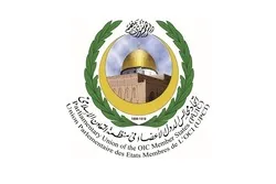 Burning Quran Breach of All Human, Ethical Values, Principles: OIC Parliamentary Union