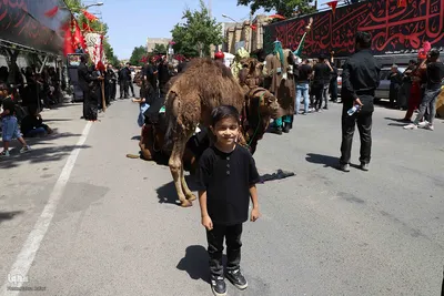 شبیه‌خوانی روز عاشورا در اهر