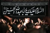 پنج فضیلت عزاداران سیدالشهدا(ع) در بیان امام رضا(ع)