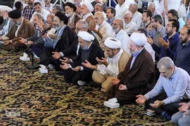 مراسم دعای کمیل در مدینه