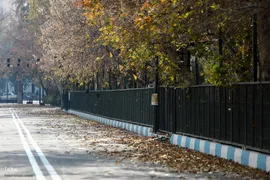 آخرین روزهای برگ‌ریزان دانشگاه تهران