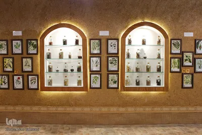 باغ موزه گیاهان دارویی و معطر زنجان