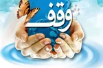 احساس نیاز روزافزون به وقف فرهنگی/ لزوم بازنگری در قوانین برای احیای وقف