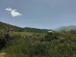 طبیعت بکر و زیبای منطقه گردشگری فندقلوی اهر