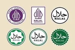 إطلاق موقع لتسجيل شهادة 