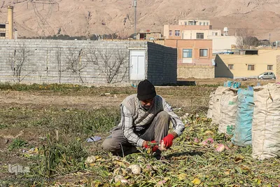 هوای پاک اصفهان