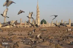 Si Hazrat Fatima (SA) ay Isang Huwarang Tauhan sa Mundo