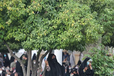 مراسم دعای عرفه در حرم مطهر شاهچراغ (ع)