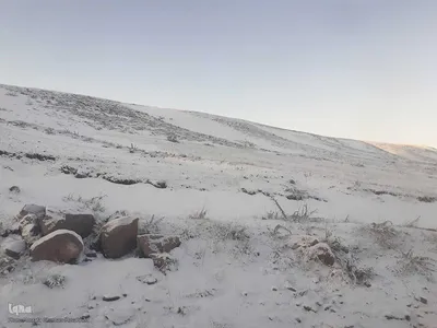 طیبعت برفی امروز در مناطق شهری و روستایی اهر