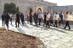  Al-Quds Supreme Islamic Council Slams Zionist Raids on Al-Aqsa