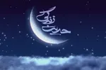 فیلم | نبایدهای یک مسلمان