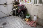 امیدانه‌های نیلوفر