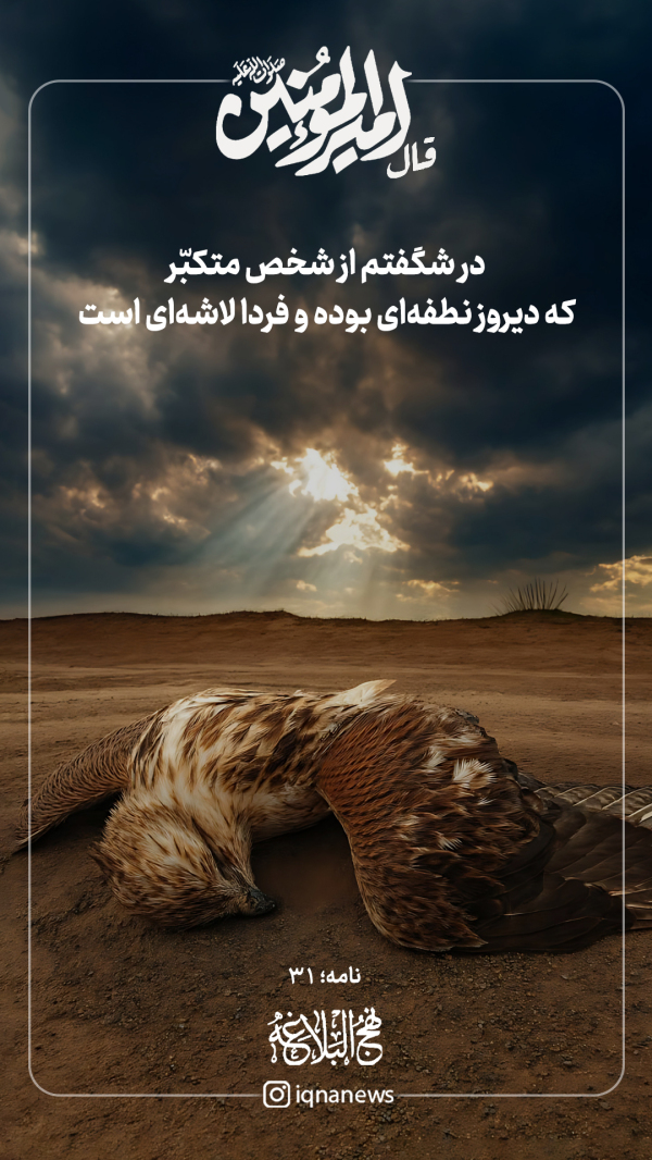 حکمت نهج الباغه