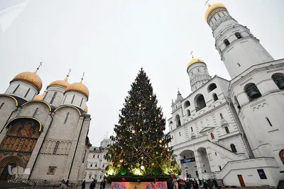 درخت کاج سال نو در میدان کلیساهای کرملین/ روسیه