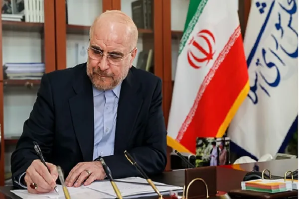 مجلس همچون گذشته پشتیبان نیروهای مسلح خواهد بود