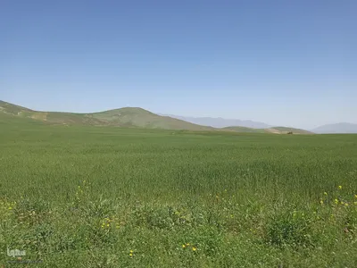 طبیعت بهاری ارتفاعات سامبران در جاده اهر