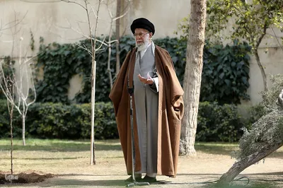 کاشت نهال در روز درختکاری