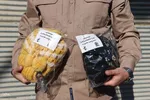 اردوی جهادی در آناخاتون تبریز‎