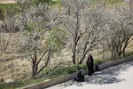 مسابقات قرآن دانش آموزان در استهبان‎‎
