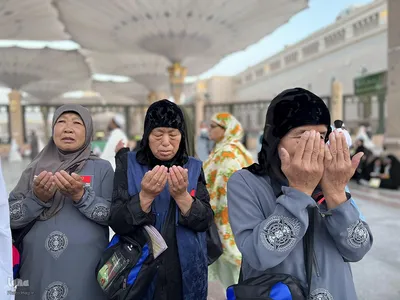 حال و هوای مسجدالنبی در ایام حج