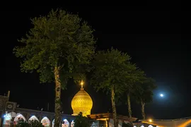جشن ولادت امام زمان (عج) درحرم مطهر شاهچراغ (ع)