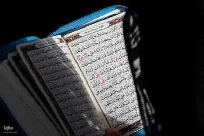 قرائت دعای عرفه در باغ رضوان اصفهان