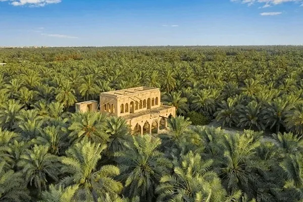 সৌদি আরবে এক হাজার কোটি গাছ রোপণের পরিকল্পনা