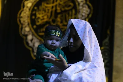 مراسم عزاداری شب سوم محرم در حرم علی ابن حمزه(ع)