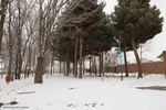 بارش برف در اهر