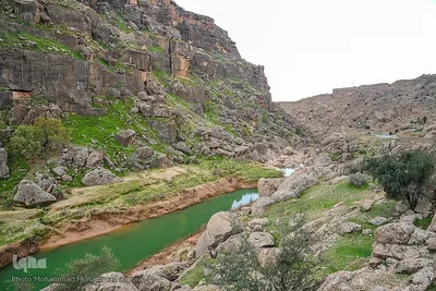 پیوند انسان و طبیعت در اندیکا