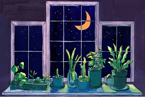 تجربه اولین ماه رمضان تازه‌مسلمان آمریکایی؛ آرامشی در پس نیایش