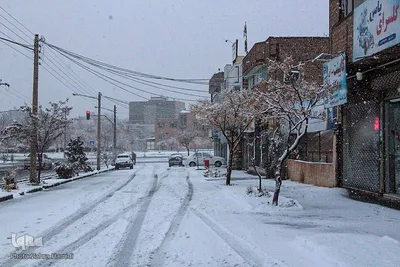 برف در خیابان‌های بیرجند