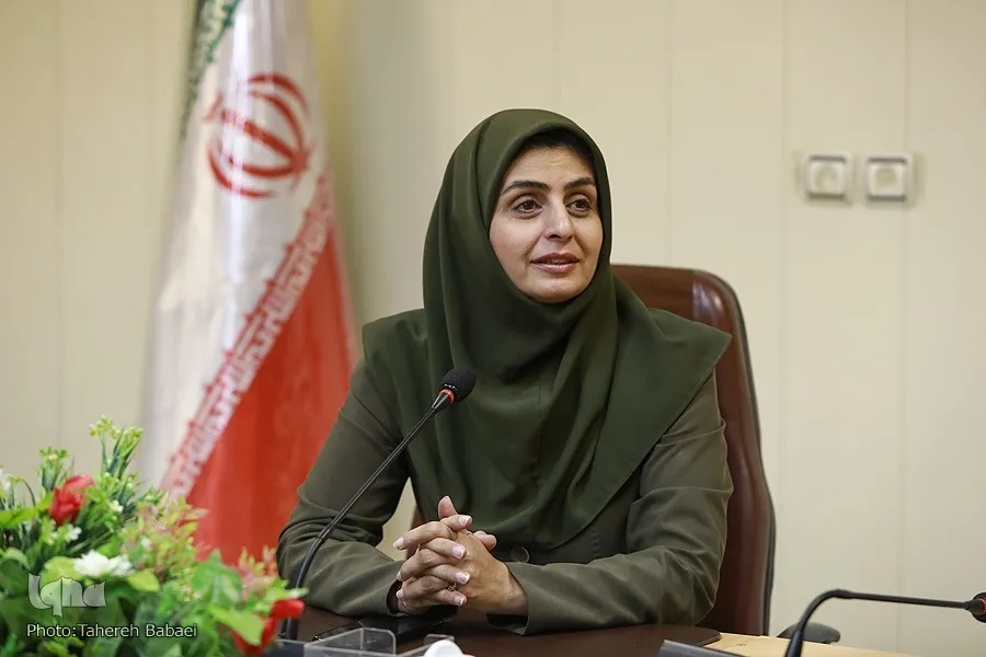 بهترین زمان و شرایط راهپیمایی اربعین + فیلم