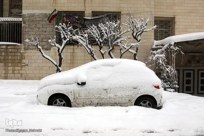 تهران برفی