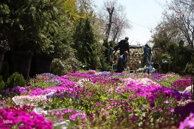 بازار گل شیراز‎‎ در آستانه سال نو
