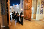سیب بهشتی‎‎