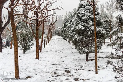 بارش برف در کرج‎