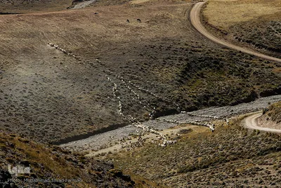 زندگی عشایری