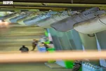 Ingenieurtechnik der Sonnenschirme und Kühlung in den Pilgerstätten (Masha'er)