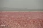 دریاچه نمک حوض سلطان به رنگ سرخ
