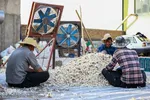 صادرات سیر؛ محصول پرخاصیت و معروف همدان