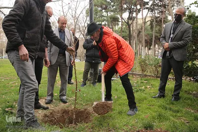 کاشت درخت توسط هنرمندان در فرهنگسرای نیاوران