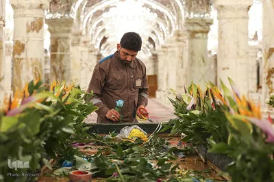 آستان مقدس امام علی(ع)