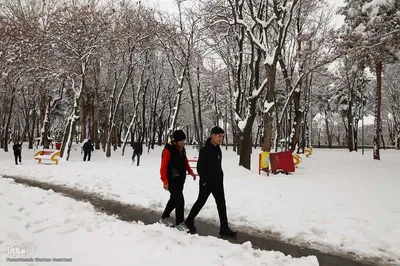 برف زمستانی در اهر