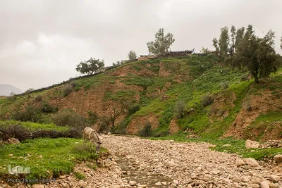 طبیعت شگفت انگیز خوزستان