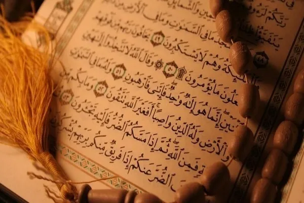 İnsan, Allahın yer üzündəki canişinidir