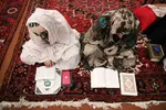 مراسم اعتکاف در تبریز