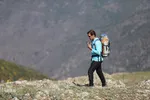 بقعه امامزاده پیرداوود‎