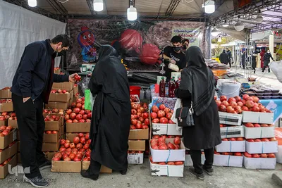 آیین افتتاح دهمین جشنواره «انار صد دانه یاقوت»